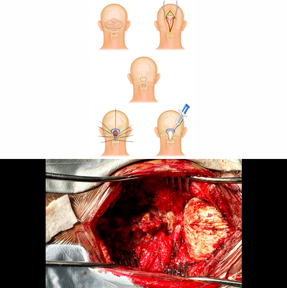 thumb col-md-6