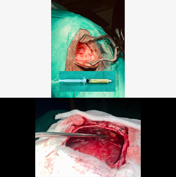thumb col-md-6