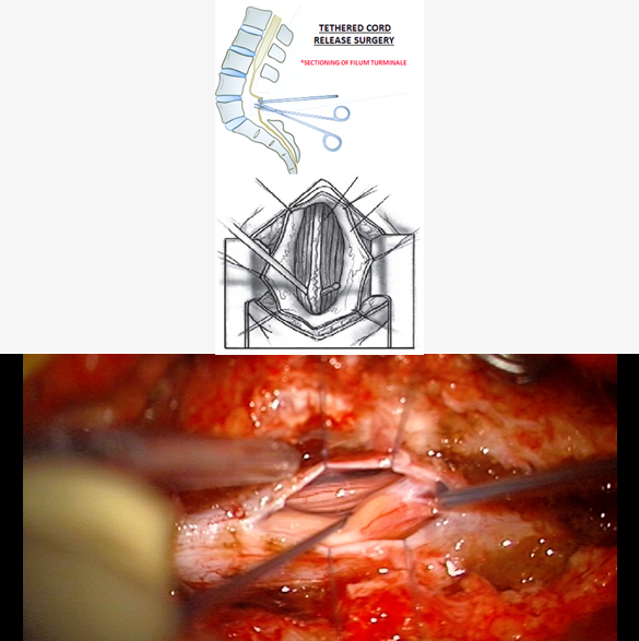 thumb col-md-6