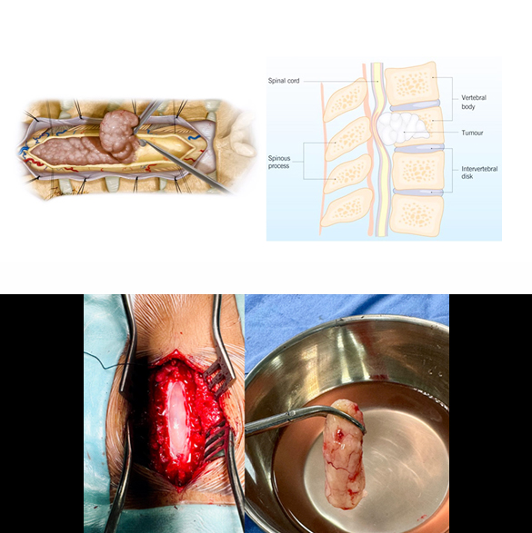 thumb col-md-6